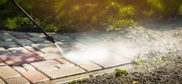 Best Animal Enclosure Cleaning  in Manitou Beach Devils Lake, MI